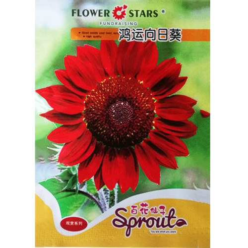 'Hongyun' Dark Red Sunflower Seeds 5 Original Packs 15 Seeds/Pack