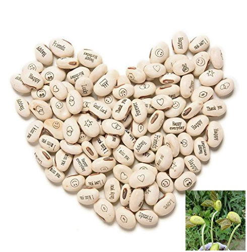 100Pcs Lot Mini Magic White Bean Seeds Gift Plant Growing Message Word Love Office Home