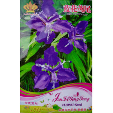 Rhizoma Iridis Orris Root Blue Flowers Seeds, 30 Seeds / Pack, Original Pack