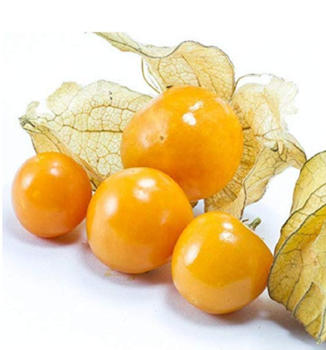 100pcs Physalis Peruviana Delicious Fruit Golden Berry Seeds