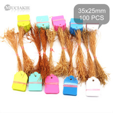 100PCS 35x25MM Plastic PVC Garden Markers Plants Tags with Rope Ties Line Seedlings Hanging Labels Rose Geranium Sign