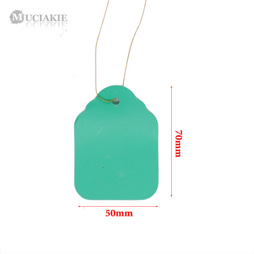 500PCS 50x70mm Plant Labels PVC Plastic Garden Markers Waterproof Gardening Nursery Hanging Tags with String for Pot Flowers