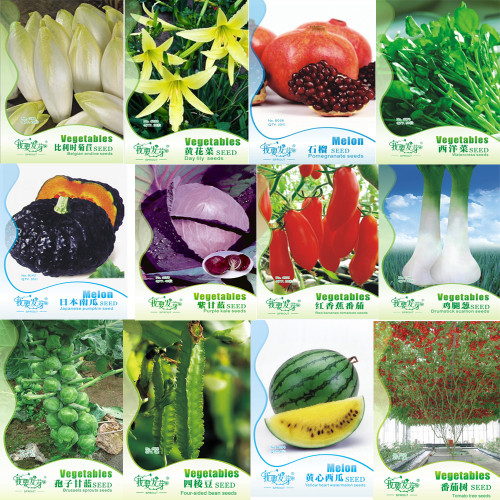 Original Pack Combos Garden Planting Seeds Chicory Day Lily Green Vegetables Black Pumpkin Tomato Watermelon etc.