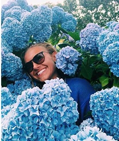 Big Sale 20 Pcs Chinese Colors Hydrangea Real Perennial Flower Garden Beautiful Wedding Party Flower Plant