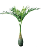 20 Pcs Exotic Bottle Palm Seeds Bonsai Tropical Ornamental Tree Plant Seeds Garden Planting - (Color: Dark Green)