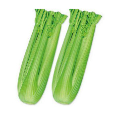 10,000 PCS F1 Hybrid Celery Seeds Garden Green Chinese Vegetables
