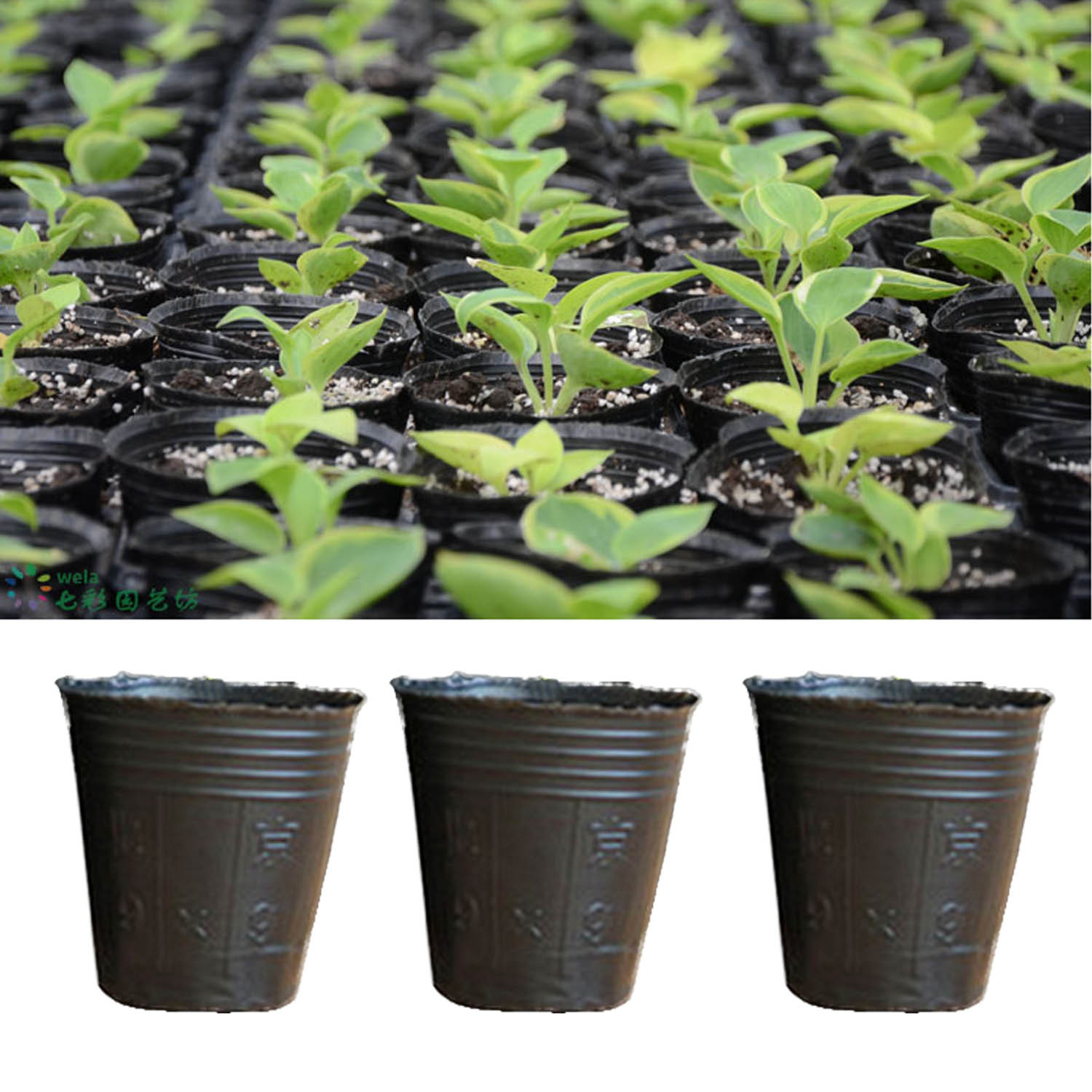 US 4.23 100PCS 3.74in x 3.93 in Round Black Plastic Nursery Plant