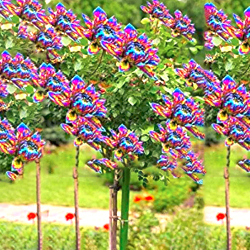 50PCS Dahlia Tree Bonsai Flowers Colorful