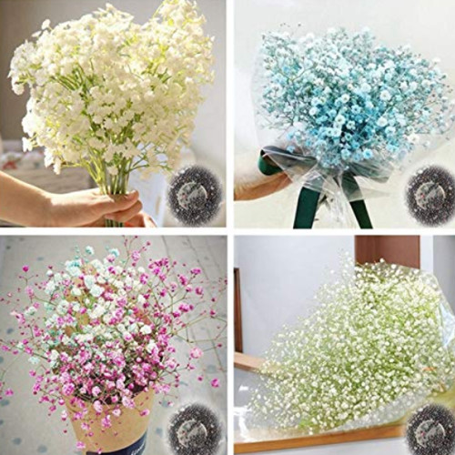 100PCS Gypsophila Paniculata Plant Outdoor & Indoor Perennial Garden Flower Ornaments Seed for Wedding Decor Easy to Grow
