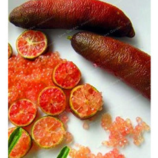 20PCS Novel Finger Limes Citrus Pomegranate Bonsai  Seeds