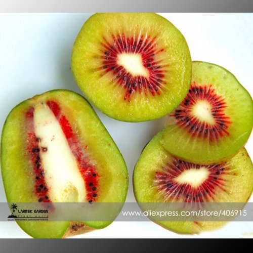Kiwi: The Incredible Health Benefits of this Exotic Fruit! - YouTube