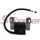 STONEDER Ignition Coil For John Deere 1200 Hydro Rake Briggs & Stratton 490586 491312 492341 495859 591459 286702 286707