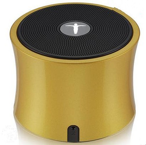 AbramTek Portable Wireless Speaker TF FM Radio Built in Mic MP3 Subwoofer Gold