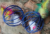 1 Set Small Lifelike Rat in Rat Cage with Feathers Funny Toys for Pet Cat