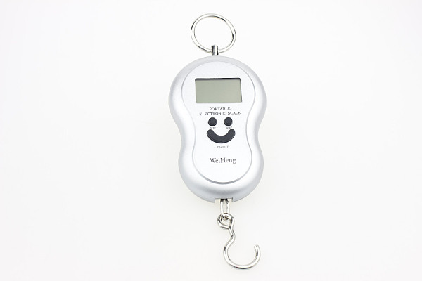 F01965 10kg-5g 5g/10kg 5g 10kg Digital Portable Electronic Weight Scale Scales WH-A03 silver