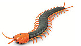 Creepy-Crawly Remote Control Centipede / Giant RC Scolopendra