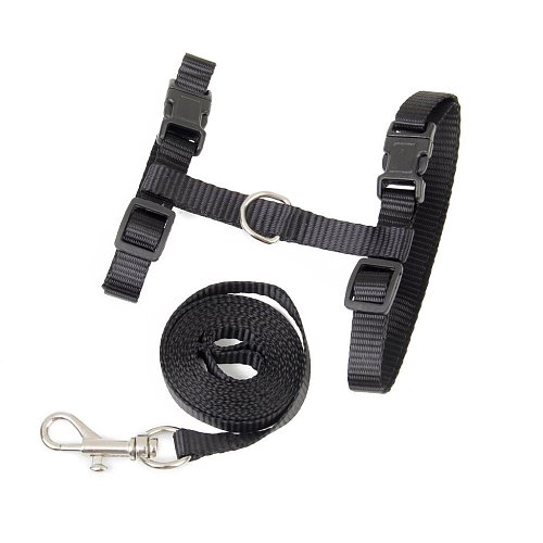 Fishing tackle and holes, catkins - black for the belt.
