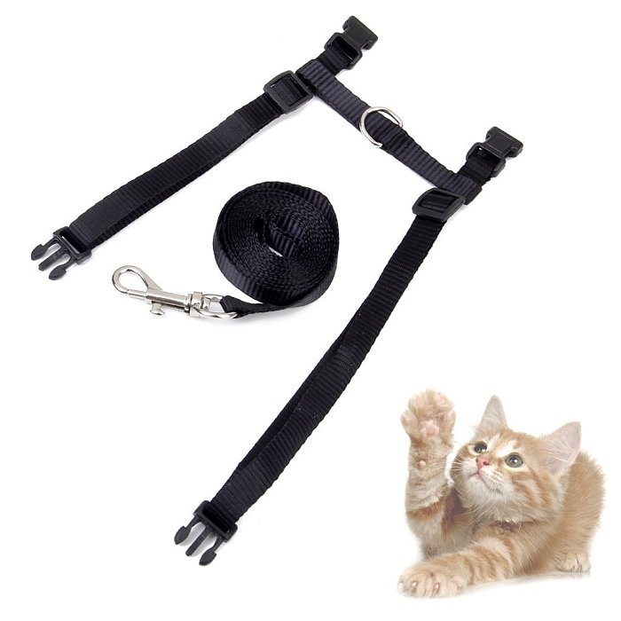 Fishing tackle and holes, catkins - black for the belt.