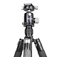 BEXNI Carbon Fiber Professional SLR Camera Tripod Set Portable Travel Tripod Monopod +720 degree Panoramic Ball Head W324C+M44
