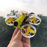FullSpeed TinyLeader HD Brushless Whoop FPV Racing Drone Quadcopter 2-3S 25-600mw VTX 1103 motor Turtle V2 Camera