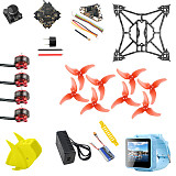 QWinOut T100 Indoor FPV Racing Drone Kit 2-4S DIY RC Drone with Crazybee F4 PRO V3.0 FC Frsky Receiver FPV Watch