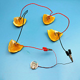 Feichao Fruit Battery Experiment Kit Cola Potato Lemon Power Clock Elementary School Science Experiment Material