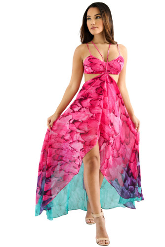 Fuchsia Multi-color Feather Print Maxi Dress
