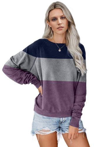 Purple Raglan Sleeve Color Block Pullover Sweatshirt