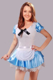 8329   Sexy Alice in wonderland Fancy Dress Costume