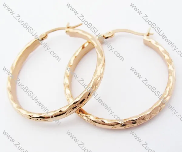 JE050936 Stainless Steel earring