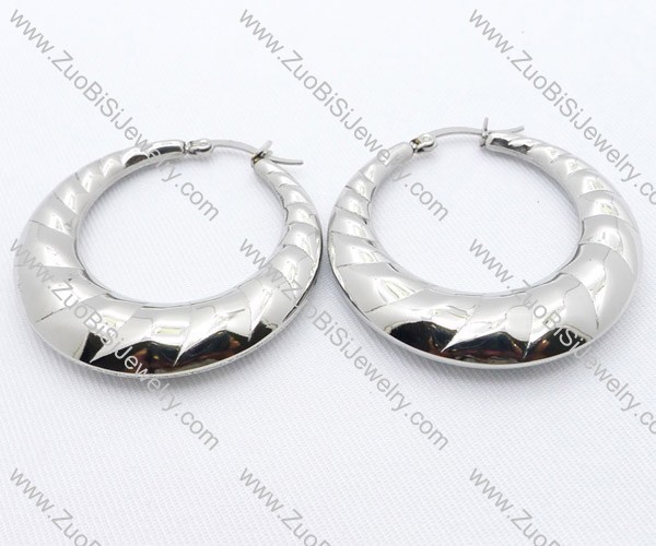 Slippery Stainless Steel earring - JE050084