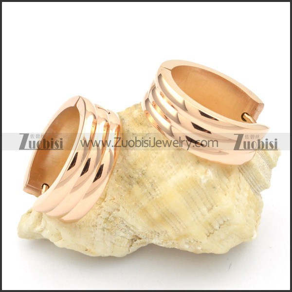 Stainless Steel Earrings -e000243