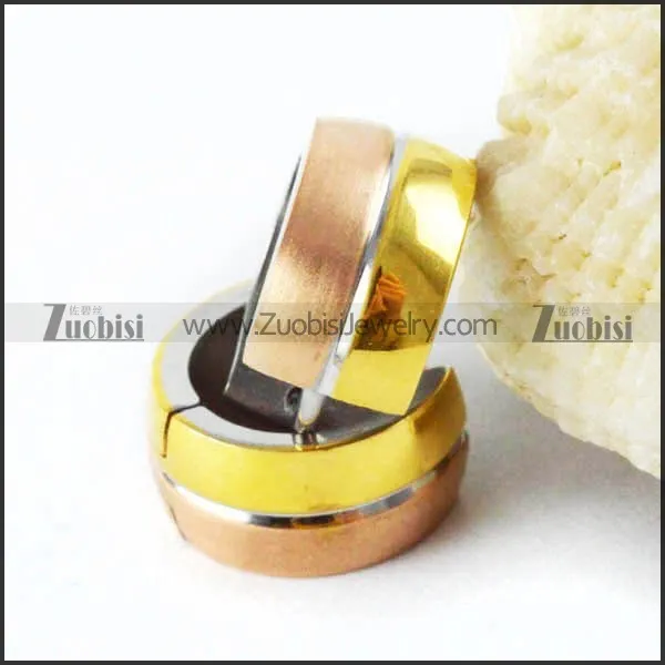 Stainless Steel Earring - e000037