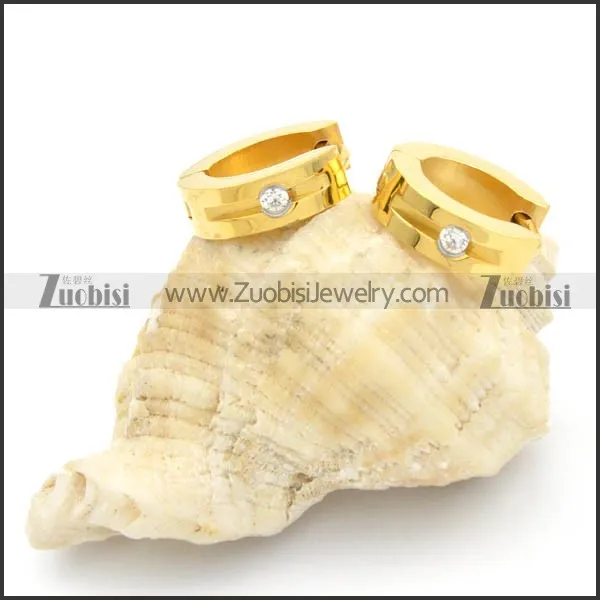 Stainless Steel Earrings -e000188