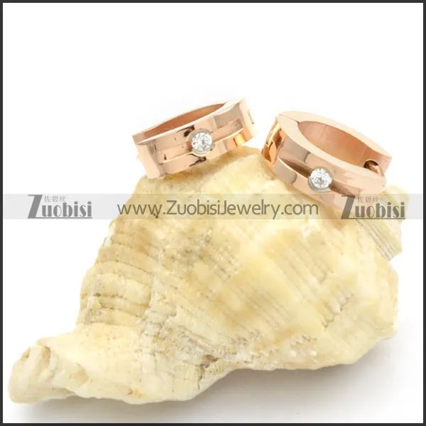 Stainless Steel Earrings -e000189
