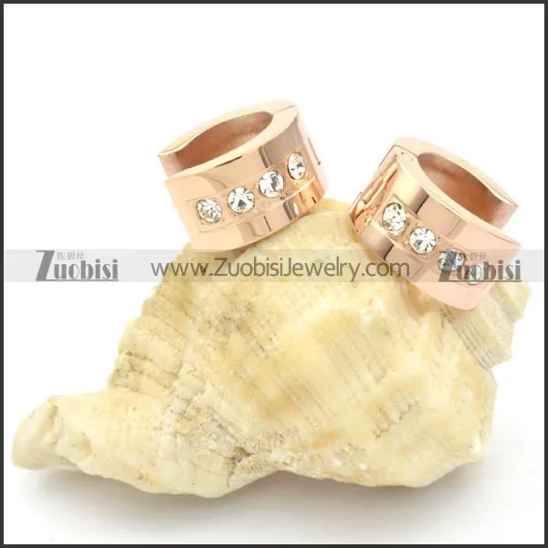 Stainless Steel Earrings -e000198