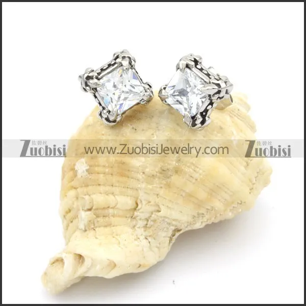 Stainless Steel Earrings -e000111