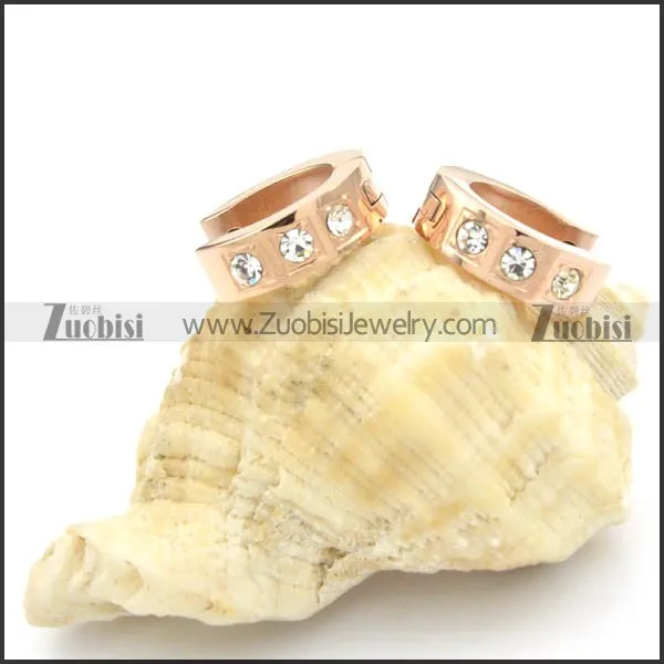 Stainless Steel Earrings -e000192