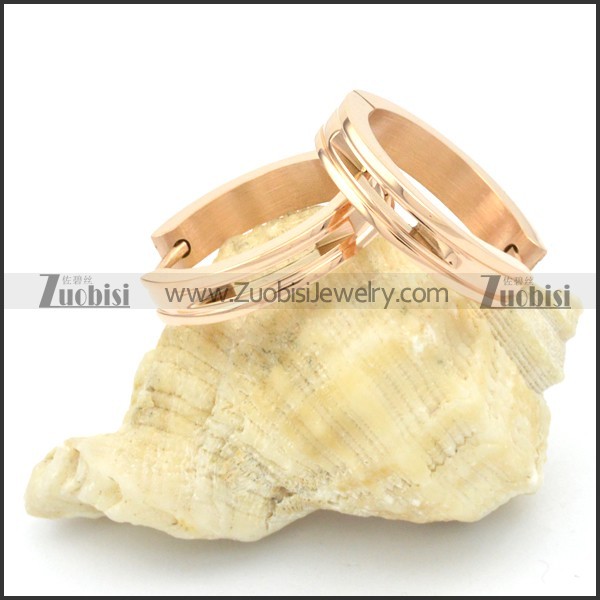 Stainless Steel Earrings -e000241