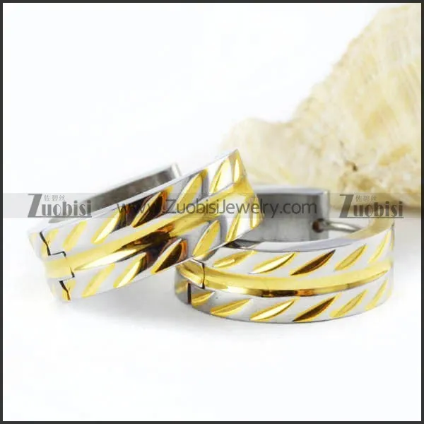 Unique 2 Plating Tones Stainless Steel Earring - e000006