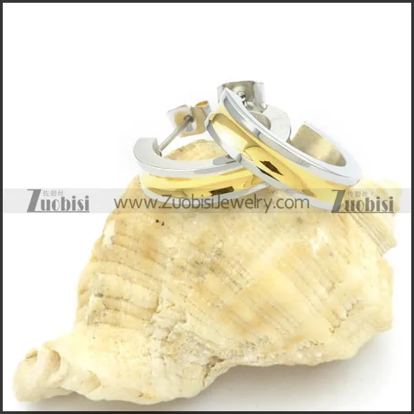 Stainless Steel Earrings -e000169