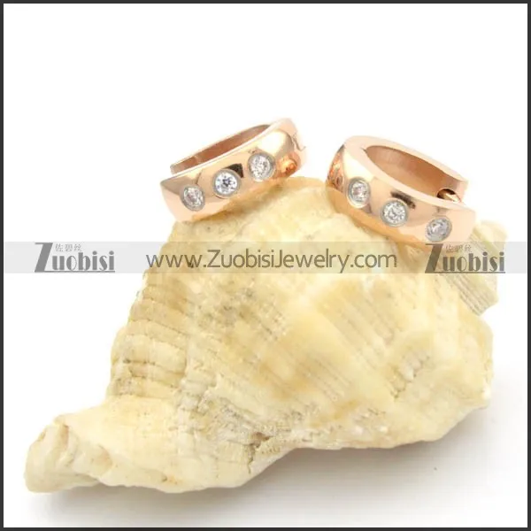 Stainless Steel Earrings -e000186