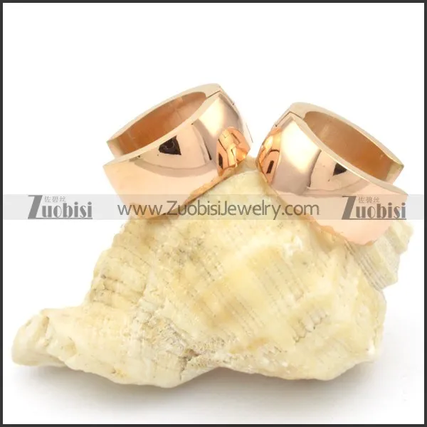 Stainless Steel Earrings -e000217