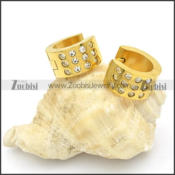 Stainless Steel Earrings -e000102