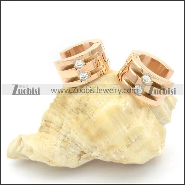 Stainless Steel Earrings -e000200
