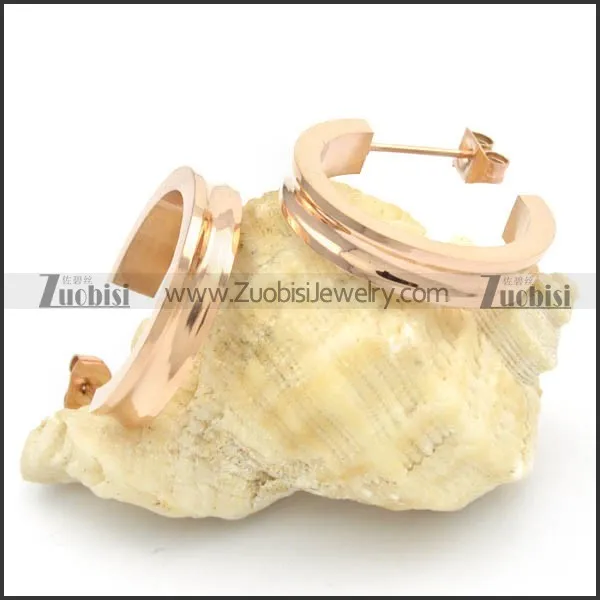 Stainless Steel Earrings -e000174