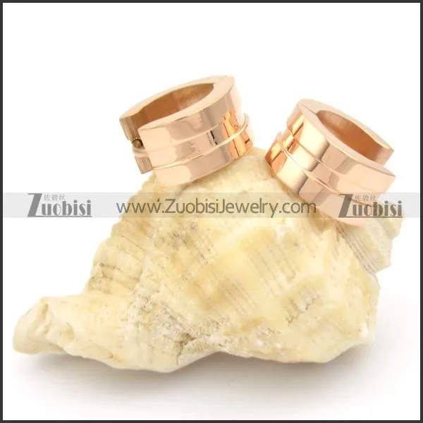 Stainless Steel Earrings -e000216