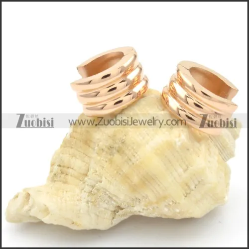 Stainless Steel Earrings -e000211