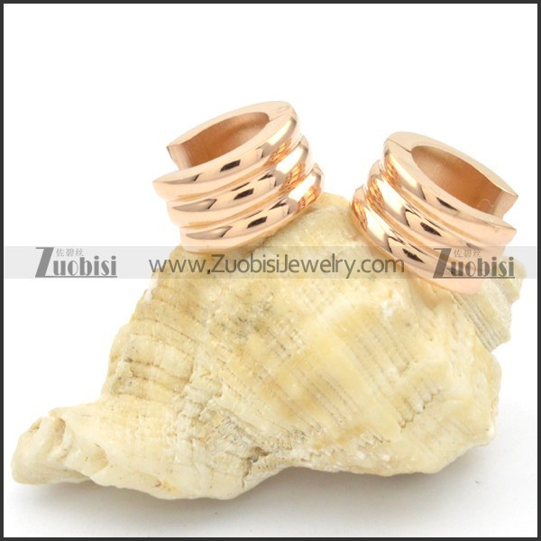 Stainless Steel Earrings -e000211