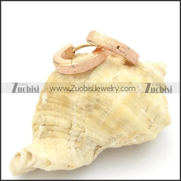 Stainless Steel Earrings -e000183
